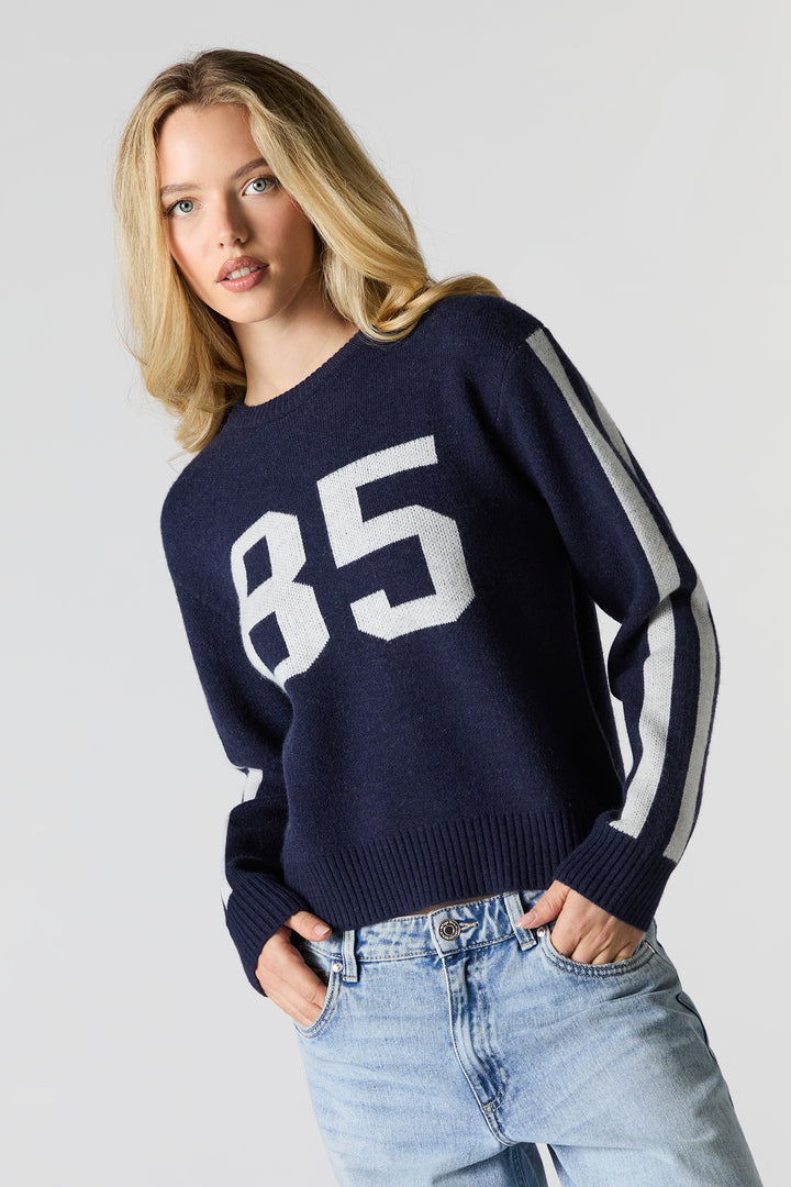 Striped Sleeve Jacquard Knit Sweater