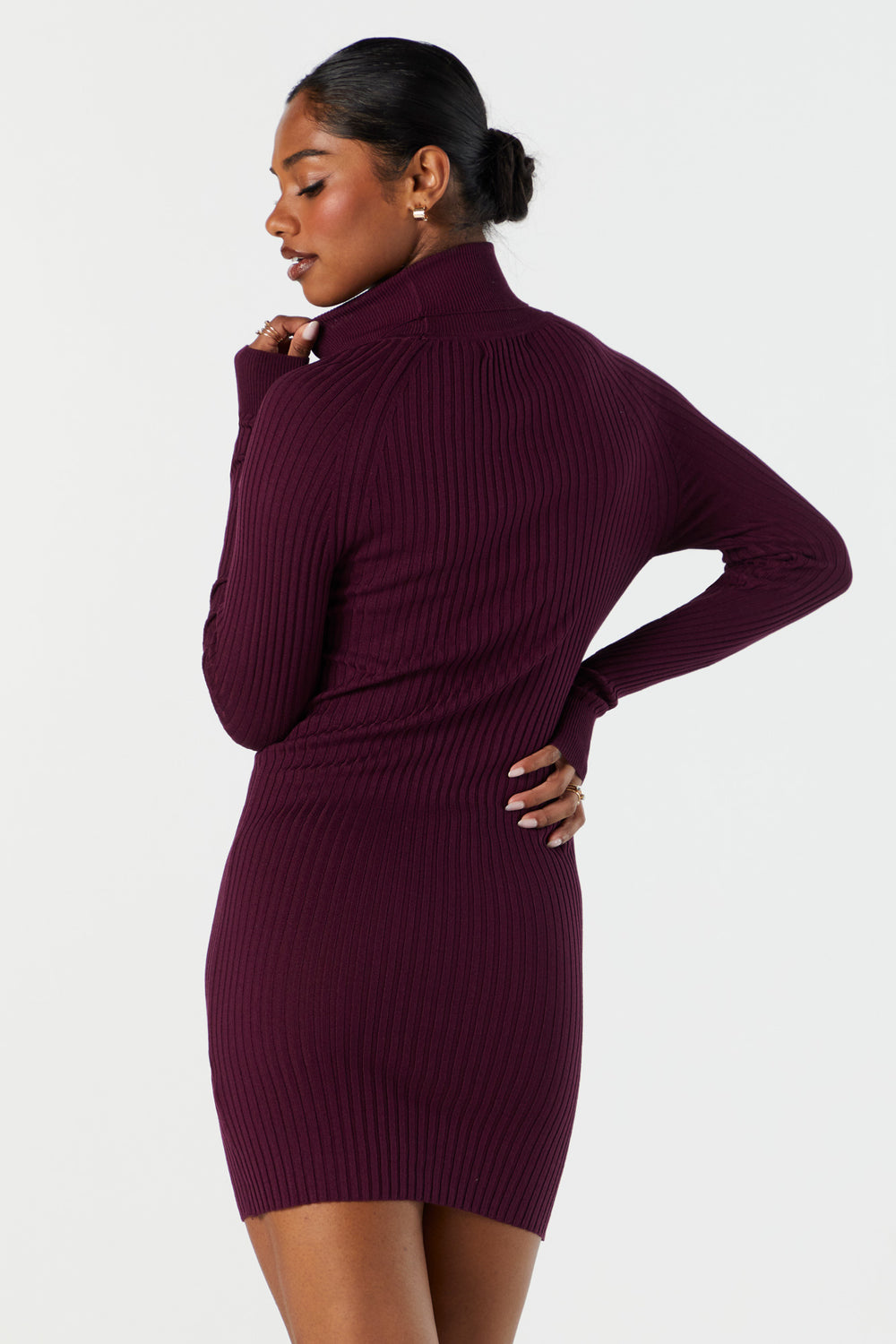 Ribbed Knit Turtleneck Mini Dress Ribbed Knit Turtleneck Mini Dress 10