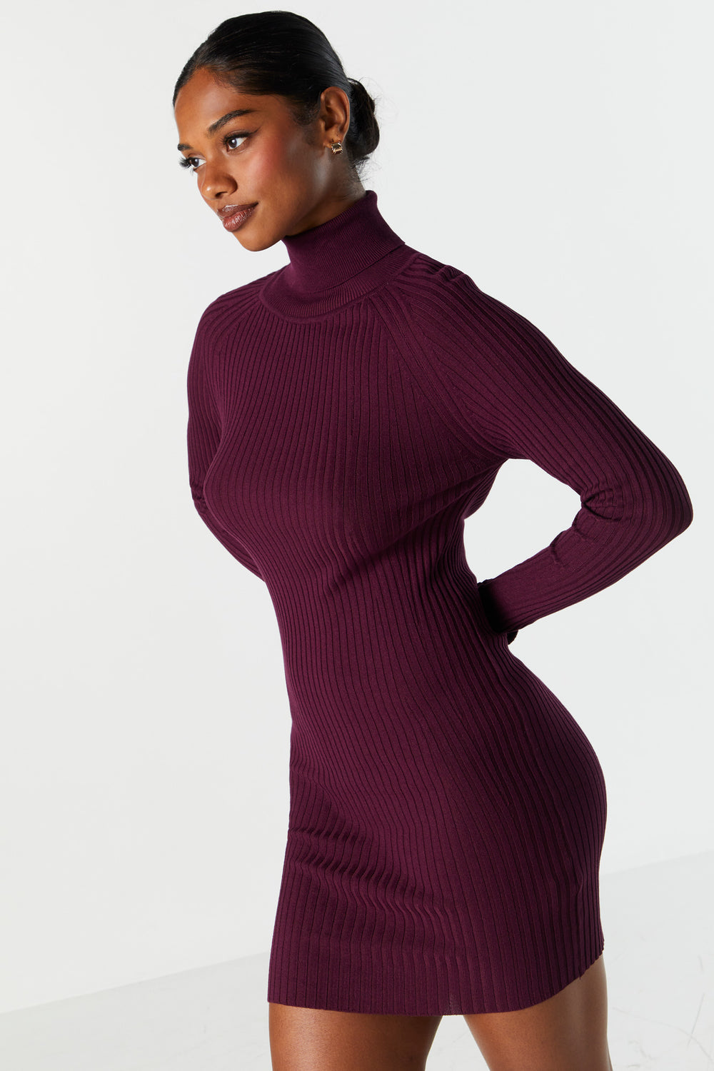 Ribbed Knit Turtleneck Mini Dress Ribbed Knit Turtleneck Mini Dress 9