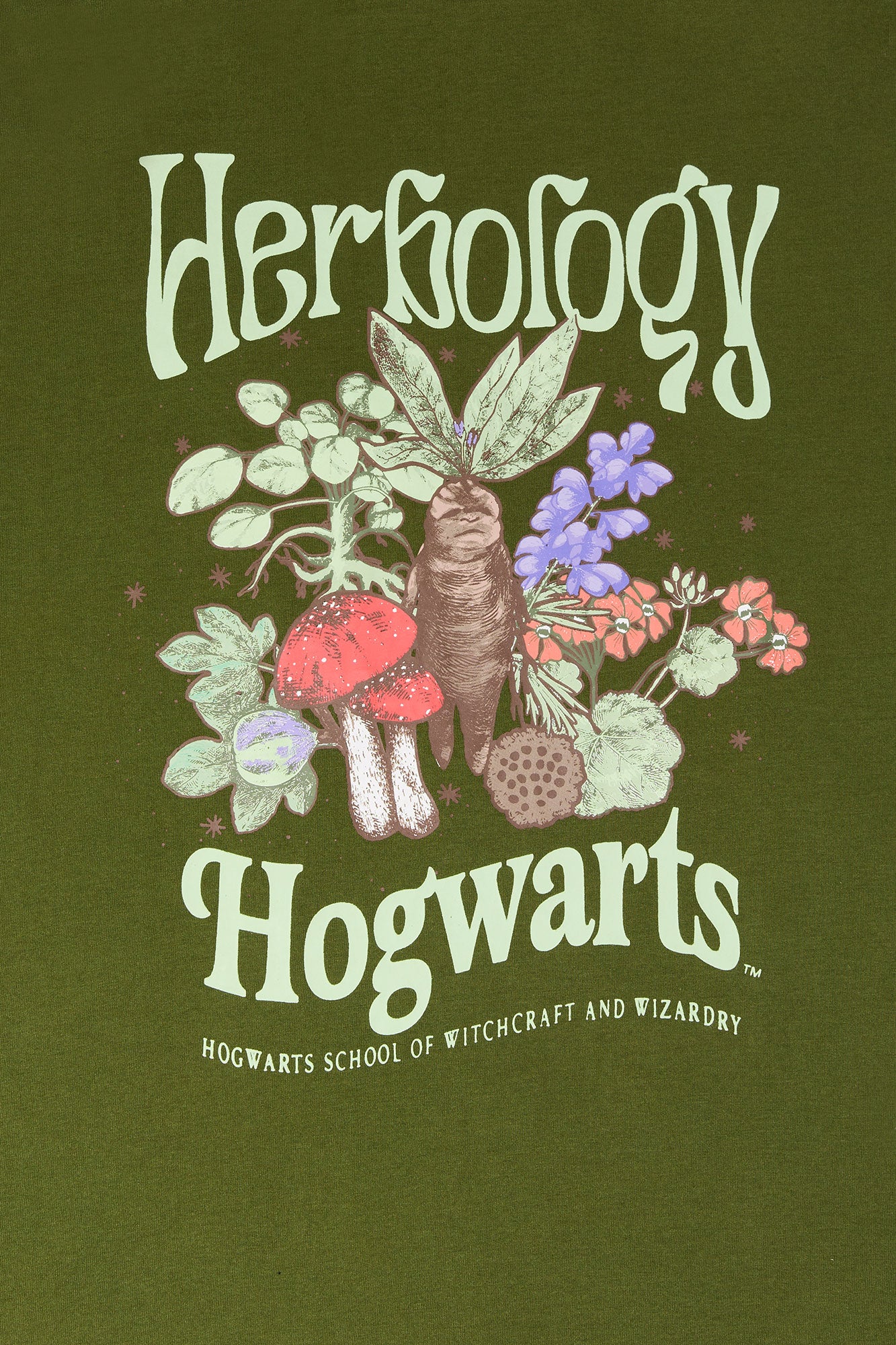 Herbology Hogwarts Graphic Boyfriend T-Shirt