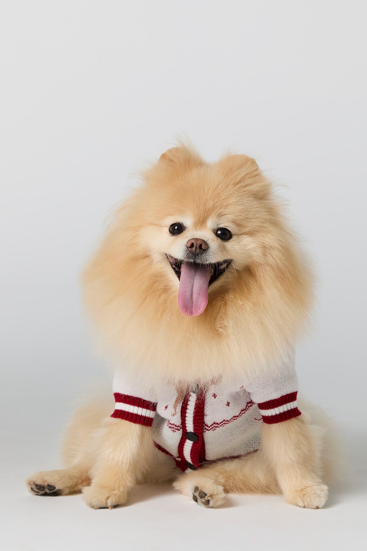 Jacquard Knit Pet Christmas Cardigan