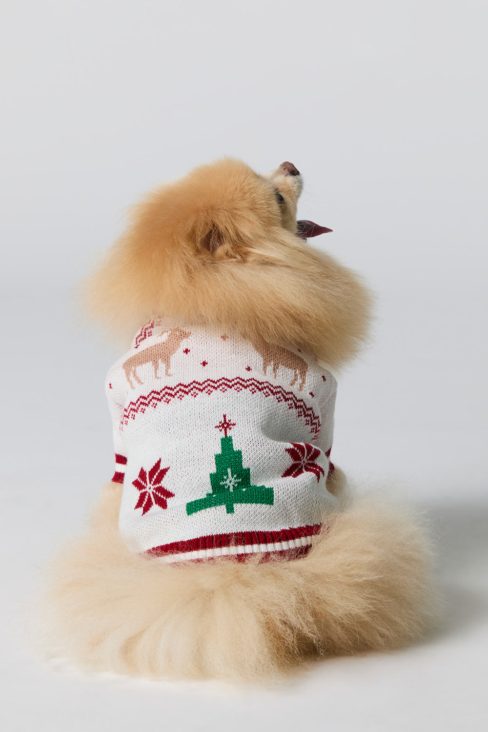 Jacquard Knit Pet Christmas Cardigan Jacquard Knit Pet Christmas Cardigan 2